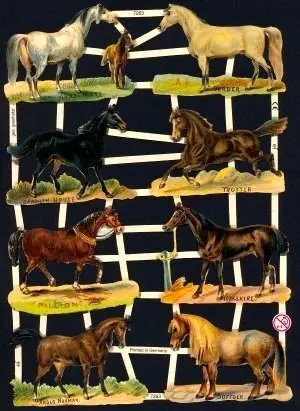 Cromos de Picar Caballos (7263)