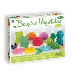 Taller de Velas Vegetales