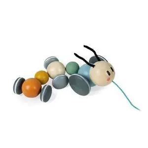Oruga Cocoon para Pasear
