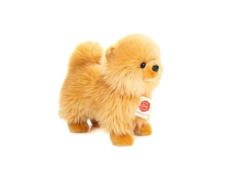 Pomeranian Golden 23 cm