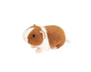 Cobaya Marron y Blanca 19Cm