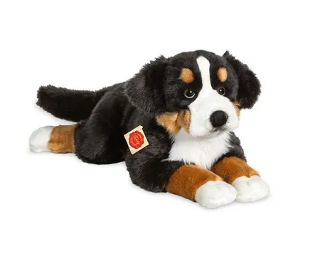 Perro de Montaña Bernés Tumbado 60 cm
