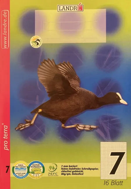 Cuaderno Pequeño Cuadriculado 16 Pág.