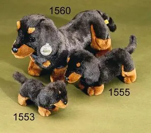 Perro Salchicha de Pie Pequeño