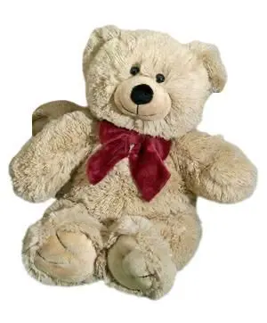 Osito Marrón Pequeño