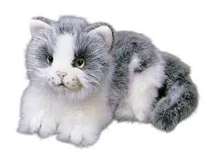 Gato Gris Blanco