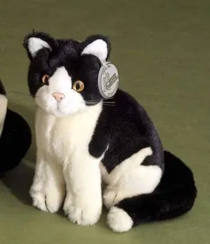Gato Pequeño Sentado