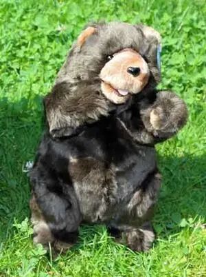 Oso Peluche Marron Pequeño
