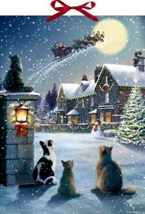 Calendario de Adviento Gatos Viendo a Santa