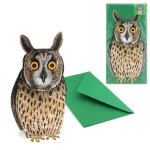 Postal 3D Buho