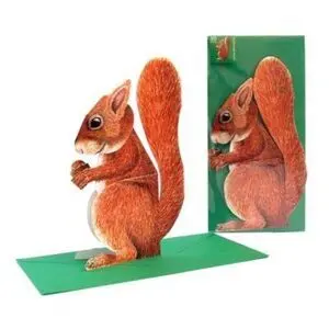 Postal 3D Ardilla