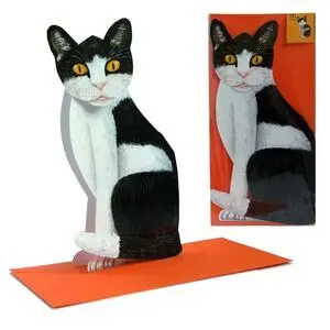 Postal 3D Gato