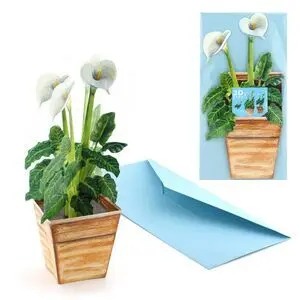 Postal 3D Lirio
