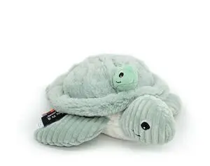 Mamá y Bebé Tortuga Verde