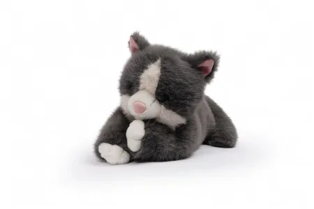 Tu Amiga Misty, el Gato Gris
