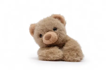 Tu Amigo Little, el Oso Marrón