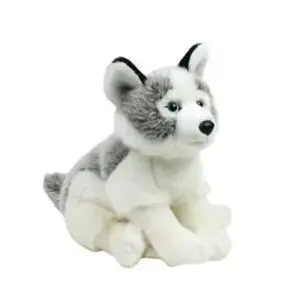 Perro Husky