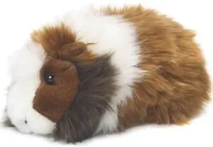 Cobaya Marrón y Blanca 19Cm