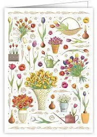Postal Jarros y Bulbos, Macetas y Tulipanes
