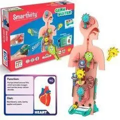 Smartivity Cuerpo Humano Antigérmenes