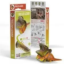 Eugy Lagarto