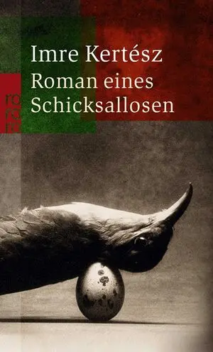 Roman Eines Schicksallosen