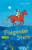 FLIEGENDER STERN