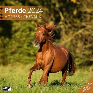 CALENDARIO DE CABALLOS 2024 - 30X30