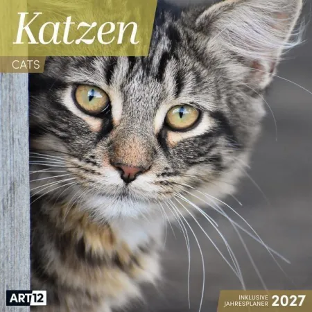 Calendario de Gatos 2027 - 30X30 - Art12