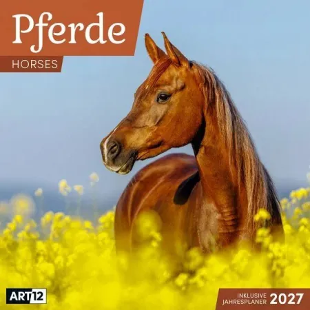 Calendario de Caballos 2027 - 30X30 - Art12