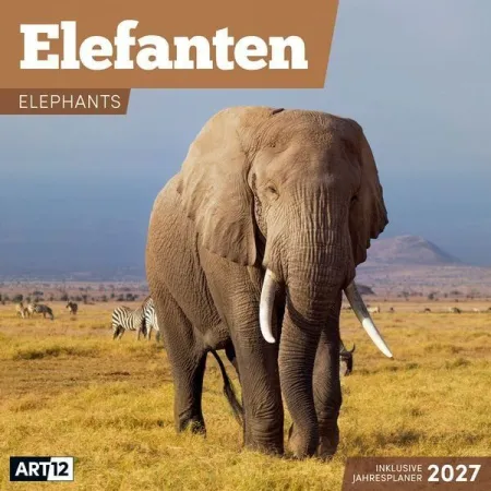 Calendario de Elefantes 2027 - 30X30 - Art12