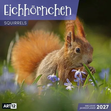 Calendario de Ardillas 2027 - 30X30 - Art12