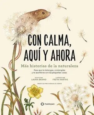 Con Calma, Aqui y Ahora