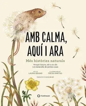 Amb Calma, Aqui I Ara