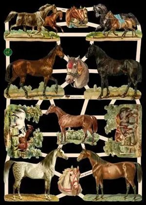 Cromos de Picar Caballos (7404)