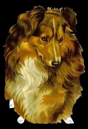 Cromos de Picar Perro Grande (7207)