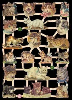 Cromos de Picar Gatitos (7329)