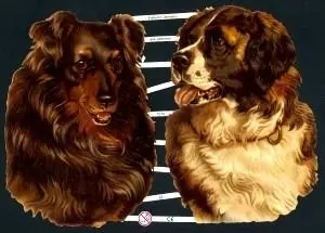 Cromos de Picar Perros Grandes (7275)