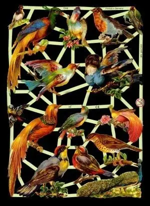 Cromos de Picar Pájaros (7246)