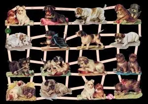 Cromos de Picar Perritos (7327)