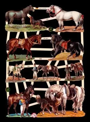 Cromos de Picar Caballos con Perros y Jinetes (7335)