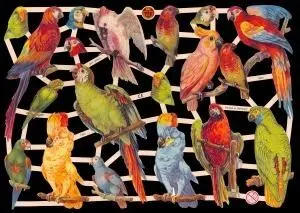 Cromos de Picar de Pájaros (7303)