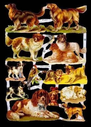 Cromos de Picar de Perros (7163)