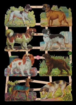 Cromos de Picar Perros (7397)