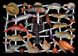 Cromos de Picar Peces (7374)