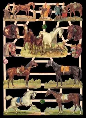 Cromos de Picar Caballos (7322)