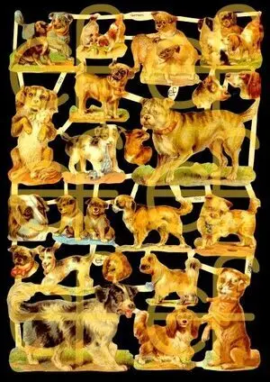 Cromos de Picar Perros (7213)