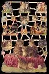 Cromos de Picar Gatos (7301)