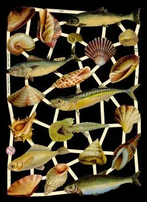 Cromos de Picar Peces y Conchas (7247)