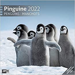 PINGUINE KALENDER 2022 - 30X30